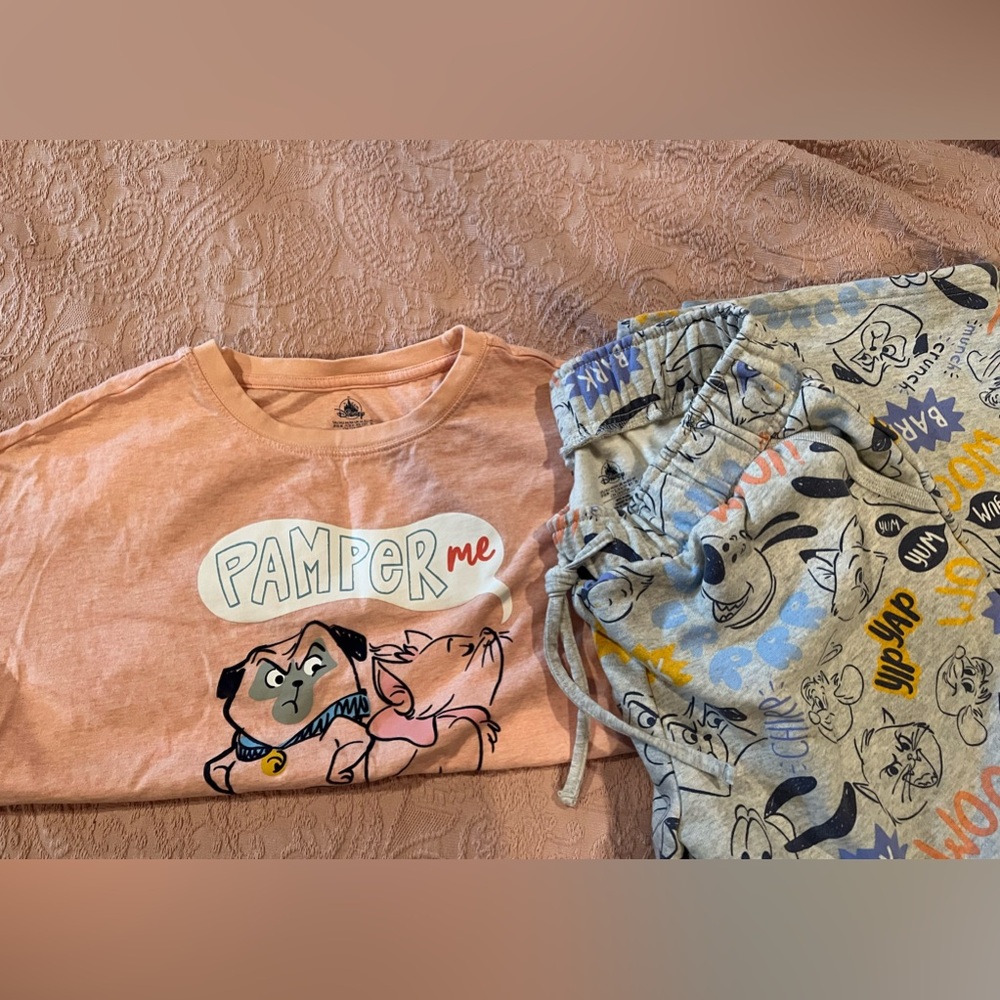 Disney Parks Sweatpants Set